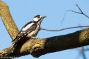 Randsfjord_20160422_046_web.jpg