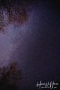 Stjerner_20220307_03_Asto__web.jpg