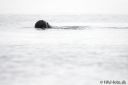 Filename=Svalbard_20150704_1216-cro-web.jpg
Filesize=47KiB
Dimensions=1200x801
Date added=Jul 09, 2015 Svalbard_20150704_1216-cro-web.jpg