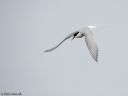 Svalbard_20150705_2258ro-web.jpg