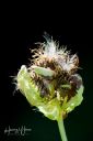 Test_70-300r_20180807_02_web.jpg