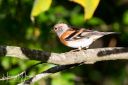 Trelde_20211023_28-Edit_web.jpg