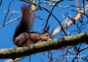 Trelde_20230402_24_web.jpg