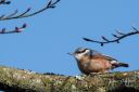 Trelde_Naes_20180330_37_web.jpg