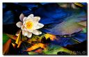 Tversted-soer_22-bes-web.jpg