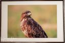 Udstillingfoto_20210706_17_web.jpg