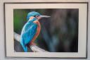 Udstillingsbilleder_20200927_02_web.jpg