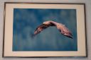Udstillingsbilleder_20200927_04_web.jpg