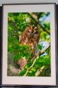 Udstillingsbilleder_20200927_13_web.jpg