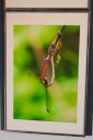 Udstillingsbilleder_20200927_14_web.jpg