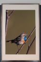 Udstillingsbilleder_20200927_15_web.jpg