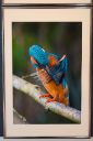 Udstillingsbilleder_20200927_16_web.jpg