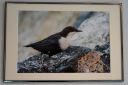 Udstillingsbilleder_20200927_17_web.jpg