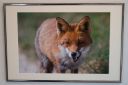 Udstillingsbilleder_20200927_18_web.jpg
