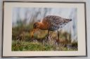 Udstillingsbilleder_20200927_19_web.jpg
