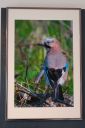 Udstillingsbilleder_20200927_21_web.jpg
