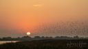 Vadehavet_Sort_sol_20240918_513_web.jpg
