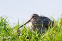 VaernengneTipperne_20191020_148_web.jpg