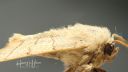 stacked_8489-8514-web.jpg
